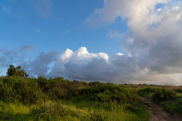 Obraz premium countryside landscape with blue sky and clouds