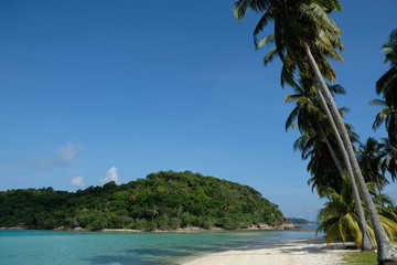 Anambas Islands Indonesia - idyllic beach with huge palm trees