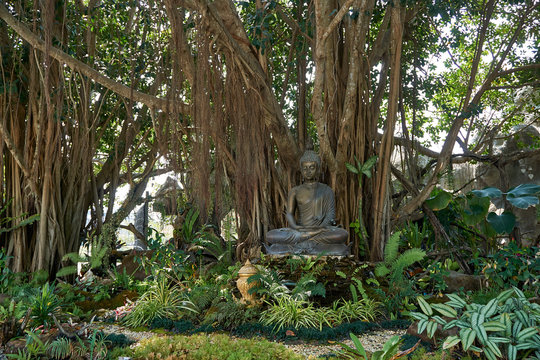 Chiang Rai, Thailand - February.10.2020: Buddha statue under bodhi tree in White Temple Rong Khun temple