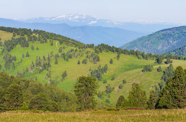 Fototapeta na wymiar Mountain view. Summer landscape, green forests and meadows, snow-capped peaks.