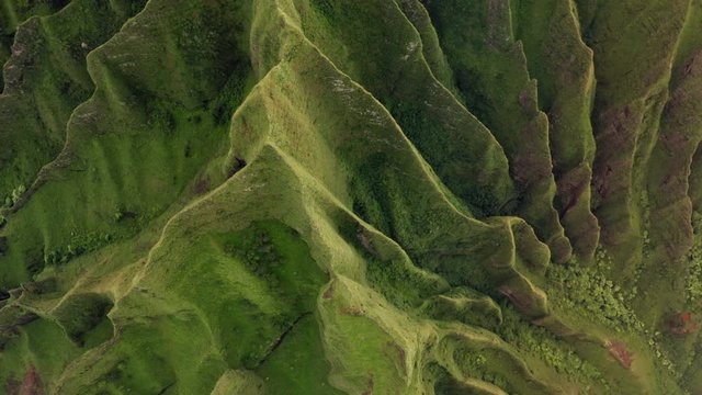 Bright green unusual exotic surface of the volcanic rocks of tropical island is in frame. A fantastically looking vegetation covers wavy ridges and the foot of the cliff. Hawaii. Aerial topdown, 4K