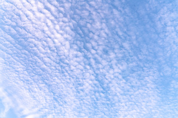 Cirrus and Altocumulus Clouds on blusky	