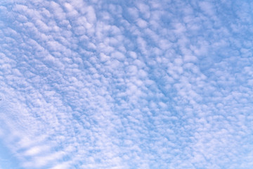 Cirrus and Altocumulus Clouds on blusky	