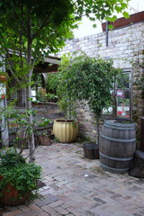Naklejka premium Beautiful and colourful garden in Sydney NSW Australia with nice green plants and great vibrant colours
