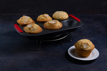 Freshly baked madeleine