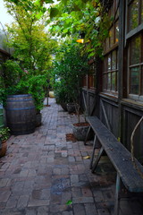 Beautiful colourful garden in Sydney NSW Australia with plants hanging down from ceiling surrounded by vibrant dangling lights