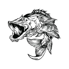 Fish illustrations, editable vectors, art illustrations, for shirt designs or creative logos and animal icons.
