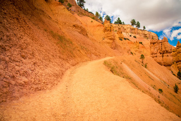 hiking trail in Bryce Canyon