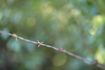 Barbed wire and posts with blurred background