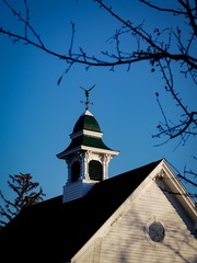 The bird weathervane