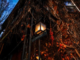 Dark and creepy entrance