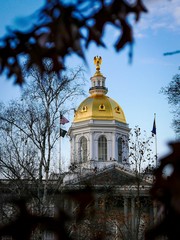 The gold dome