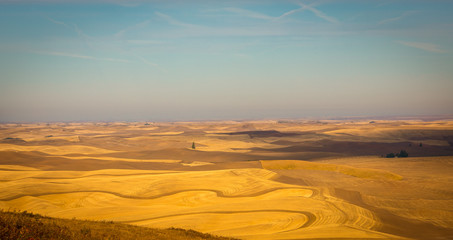 rolling farmland in rural Washington state