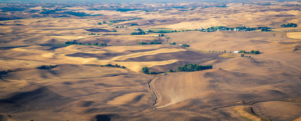 rolling farmland in rural Washington state