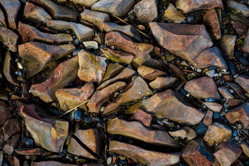 Stones texture close-up. Baltic sea, Estonia