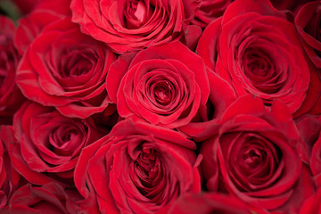 結婚や恋愛をイメージした真っ赤バラの花束