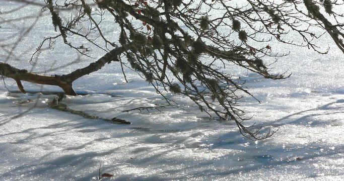 Winter and Pavin lake, Auvergne, France.
