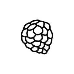 custard apple thin icon