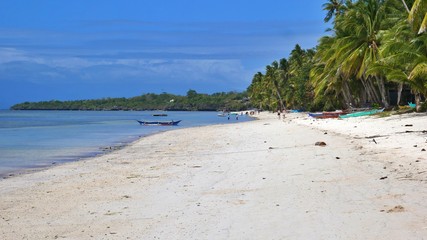 Coral Cay Beach at Siquijor Island, Philippines
