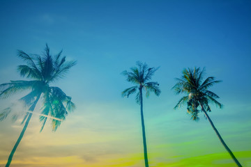 Fototapeta na wymiar colorful sky with coconut trees at sunset abstract ,spring,summer nature wallpaper background