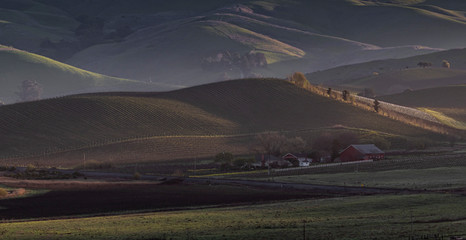 Sunrise on a small valley fram along a hillside in the Napa, California area 
