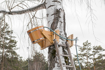 wooden antique bucket for watering, pouring cold water, attached to a tree