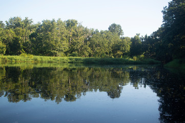 Fototapeta na wymiar Tree reflections on the river