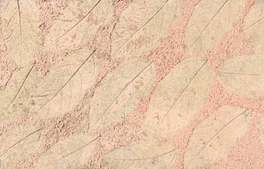 leaf print on natural style cement texture