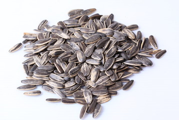 Sunflower seed on white background