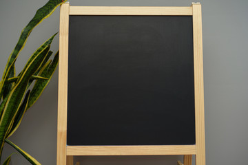 Fototapeta na wymiar Empty black board with green plant on the gray background. Copyspace