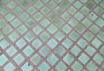 ClosHeliconia flower on nature background.eup green ceramic tiled floor