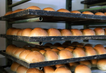 Panini piuma appena sfornati