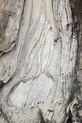 Wooden background