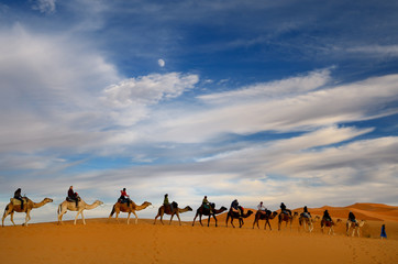Tuareg blue Berber man leading a group of camel riders to the Erg Chebbi desert in Morocco with moon