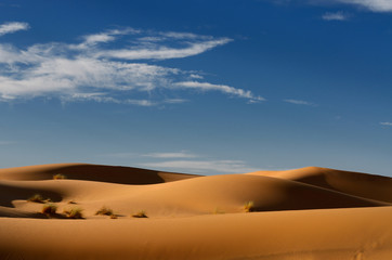 Fototapeta na wymiar Evening light on Erg Chebbi desert sand dunes Morocco