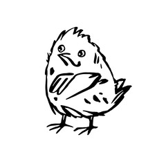 The chicken folded its wings on its chest. Monochrome vector illustration in line art style. Hand drawn. On white background.