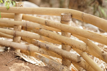 Plait bamboo fence texture background