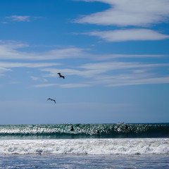 Beautiful aerial view of surfers surfing in Naranjo Beach 