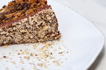 Slice of cake, close up
