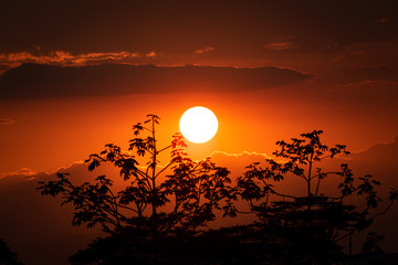 Fototapeta premium Atardeceres