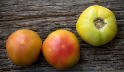 Unripe tomatoes on a rustic wooden background