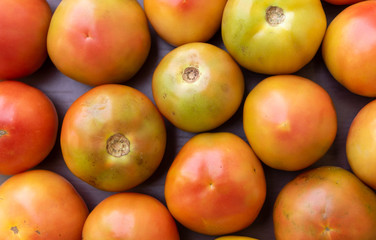 Unripe tomatoes on a rustic wooden background