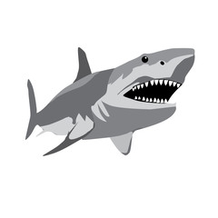 Angry Shark Cartoon open mouth vector with toothy white