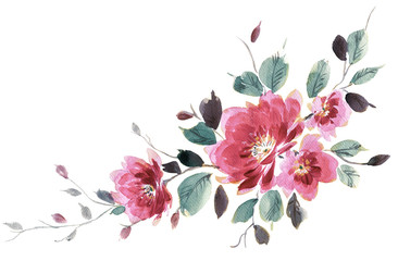 Flowers watercolor illustration.Manual composition.Big Set watercolor elements.