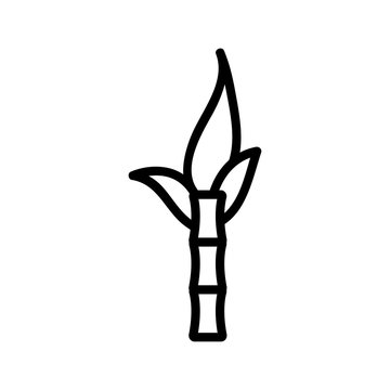 sugar cane icon vector. Thin line sign. Isolated contour symbol illustration © vectorwin