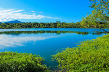 Obraz na płótnie Canvas forest lake
