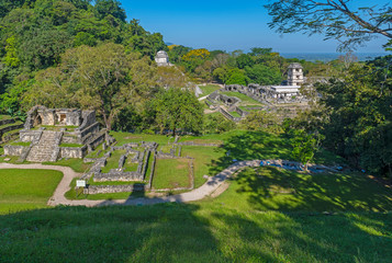 The rainforest setting of the Mayan ancient ruins of Palenque, Chiapas, Mexico.