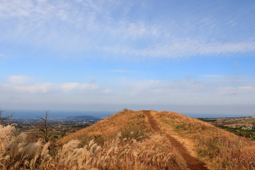 억새가 보이는 아름다운 가을 풍경