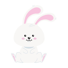 cute rabbit animal isolated icon