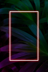 Tropical leaves with neon frame for background, foliage in blue and purple gradient